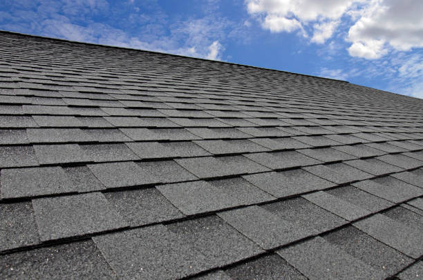 Best Gutter Installation and Repair  in Rio Pinar, FL